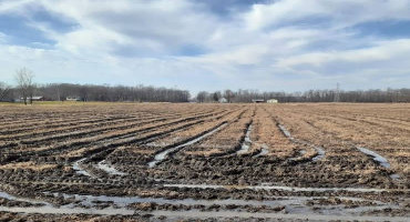 Reducing Weather Risk in Soybean Production