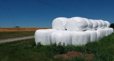 Plastic-Wrapped Hay Bale Research