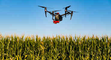 Grant to Help Corn, Wheat Growers Manage Nitrogen Fertilizer Application