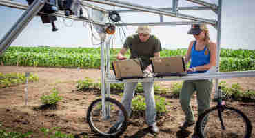 Technology to Screen for Higher-Yielding Crop Traits is now More Accessible to Scientists