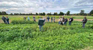 Calling All Farmers! Please Complete New National Cover Crop Survey
