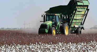 Northern High Plains cotton acres more than double in last 5 years