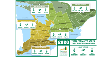 Ontario farmers to plant a record number of corn acres in 2020