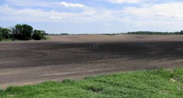 To Credit or Not to Credit Nitrogen Following Fallow Fields?