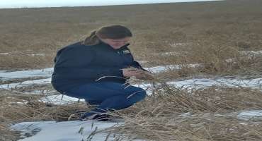 NDSU Extension Helps Farmers/Ranchers Cope With Stress