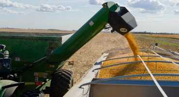 Corn and Soybean Production May Move out of Iowa in Coming Years Due to Warming Temperatures in the Midwest