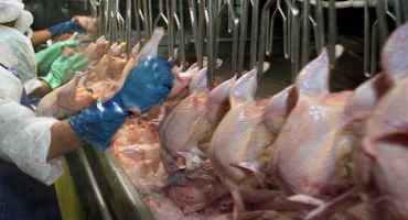 Coronavirus Outbreak Closes Southern Indiana Poultry Plant