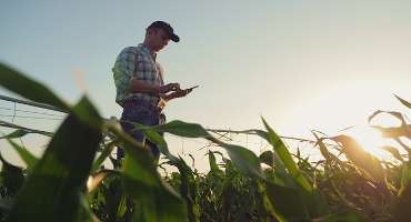 Improving Labor Efficiency On Farms