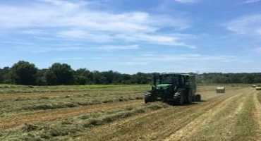 Lower First Cutting Hay Yields Being Reported