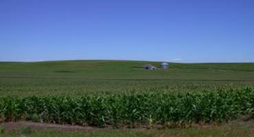 USDA Funds UMD Project to Sustain Agricultural Production in the Corn Belt with $10 Million