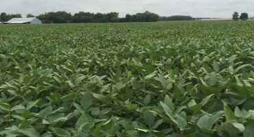 Delaware Growers Allowed To Use Up Existing Dicamba Stock