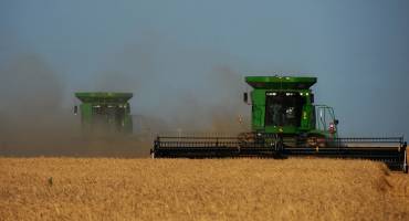 Wheat Harvest Adapts to COVID-19 Precautions