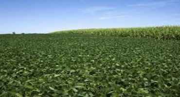 Ohio Department of Agriculture: Dicamba Use in Ohio Ends June 30, 2020