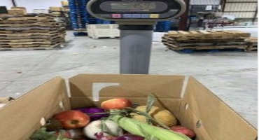 Farms Deliver Produce to Local Food Banks Through USDA Coronavirus Food Assistance Program