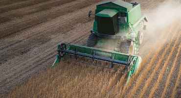 Reshuffling in Soybean Markets following Chinese Tariffs