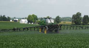 Are Foliar Fungicides Plus Insecticide Tank Mixture Applications to Soybeans Profitable?