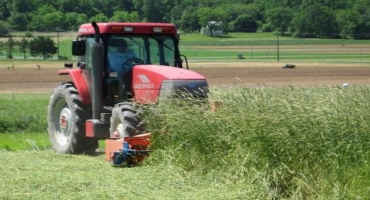 Terminating Winter Cover Crops in Organic Feed and Forage Crops