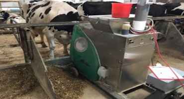 Correct Dosage of Methane-inhibiting Additive in Dairy Cow Feed Shown in Study
