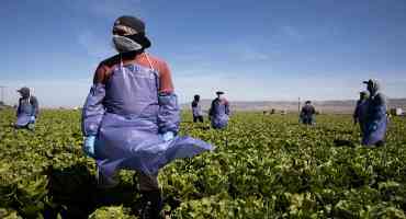 Without Federal Protections, Farm Workers Risk Coronavirus Infection To Harvest Crops
