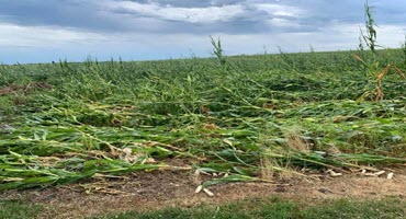Derecho damages millions of crop acres