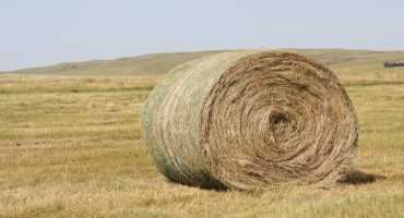 Keep it Tight; Store Hay Right