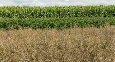 Study Seeks to Increase Adoption of Soil Conservation Practices