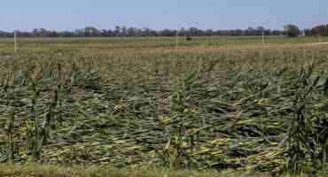 Grassley Hopes Crop Insurance Will Cover Much Of Derecho's Damage To Iowa Agriculture