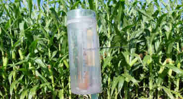 Measuring Nutrients in Rainfall: What Does it Mean for Minnesota Crops?