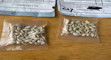 Stopping foreign seeds from entering the U.S.