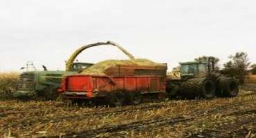 Making Corn Silage in Dry Conditions