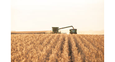 Farmers share harvest messages
