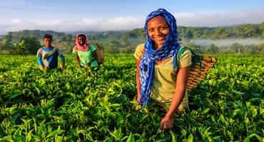 Support for female farmers overseas