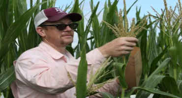 AgriLife Research Expected to Improve Predictions on Plant Growth