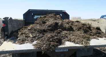 Ongoing Study Could Help Minnesota Farmers Use Manure More Efficiently