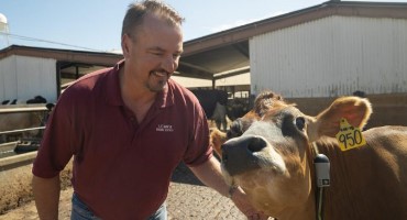 Climate Neutrality Within Reach for California Dairy Sector – From Feedstuffs