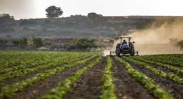 Protecting Safety and Health in Agriculture
