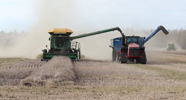 Canola harvest progresses in Sask.