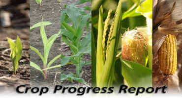 USDA Weekly Crop Progress Report