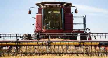 2020 Global Wheat Harvest Update
