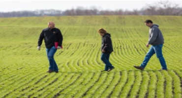 Nutrient Management in Northwest Minnesota: 5 Things to know