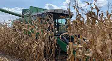 Corn Farmers Can Apply a Fungicide Just Once to Protect Against Foliar Diseases
