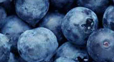 Cdn. berries could face U.S. tariffs