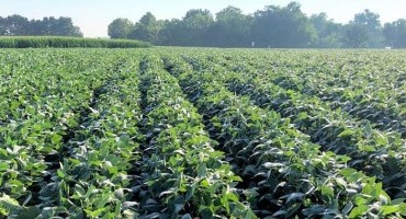 Improving Stakeholder Knowledge and Management in Soybean Using Survey Methods