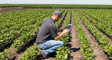 Digital platforms advance crop management