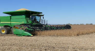 5 Takeaways on Minnesota's New Soybean Fertilizer Guidelines