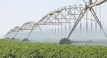 Province helps expand irrigation in Alta.