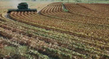 USDA Crop Progress Report Shows Farmers Making Rapid Progress Harvesting Fall Crops and Planting Winter Wheat