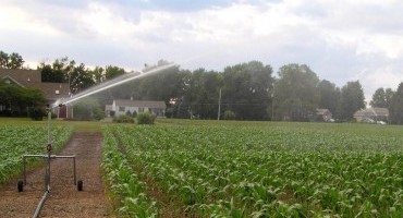 Safe Uses of Agricultural Water