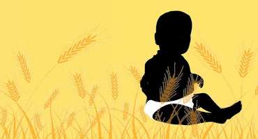 Wheat Gluten could be Key Ingredient for Sustainable Diapers