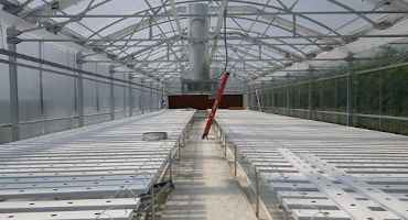 Cleaning and Sanitizing the Greenhouse or High Tunnel